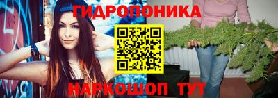 прущие грибы Белореченск