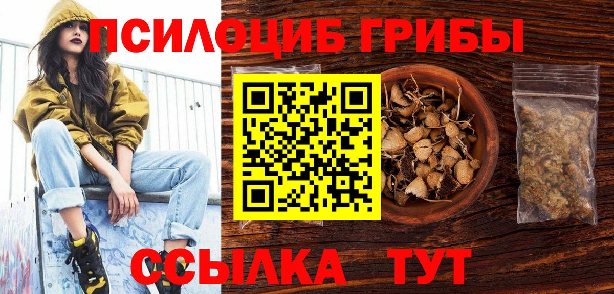 Галлюциногенные грибы Cubensis  Вход с VPN  Биробиджан  Галлюциногенные грибы Psilocybe 