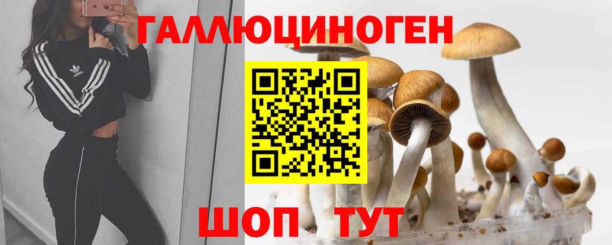Псилоцибиновые грибы мицелий Биробиджан